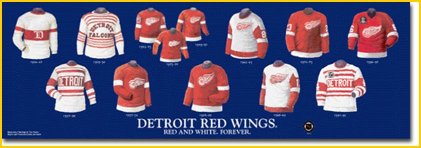  Detroit Red Wings Black Framed Logo Jersey Display