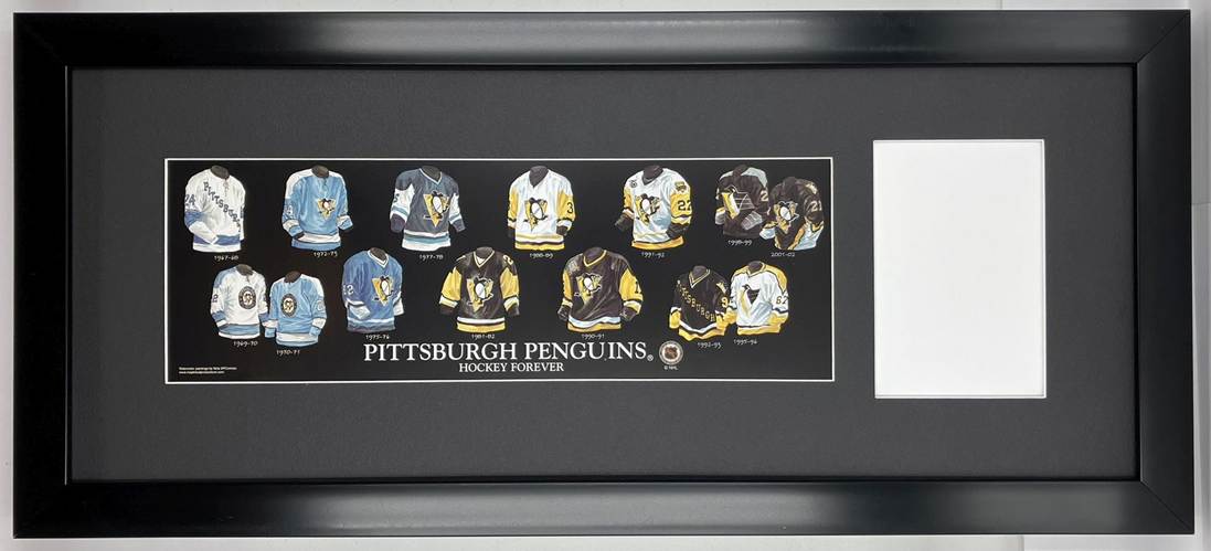 pittsburgh penguins-1