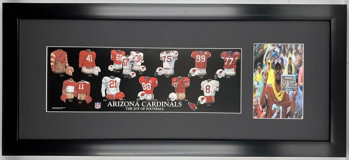 arizona cardinals-2