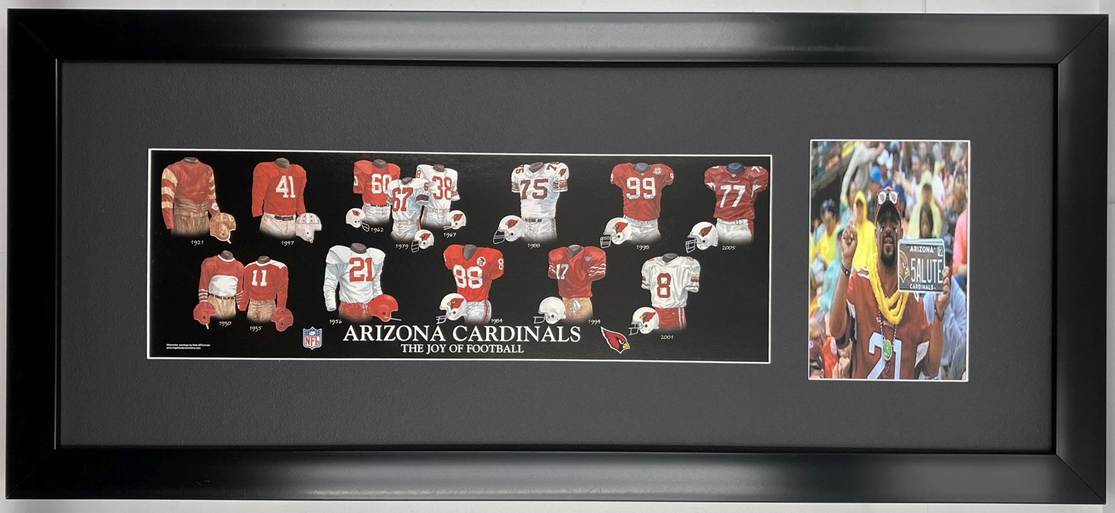 arizona cardinals-2