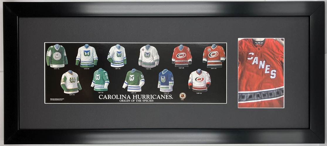 carolina hurricanes-2