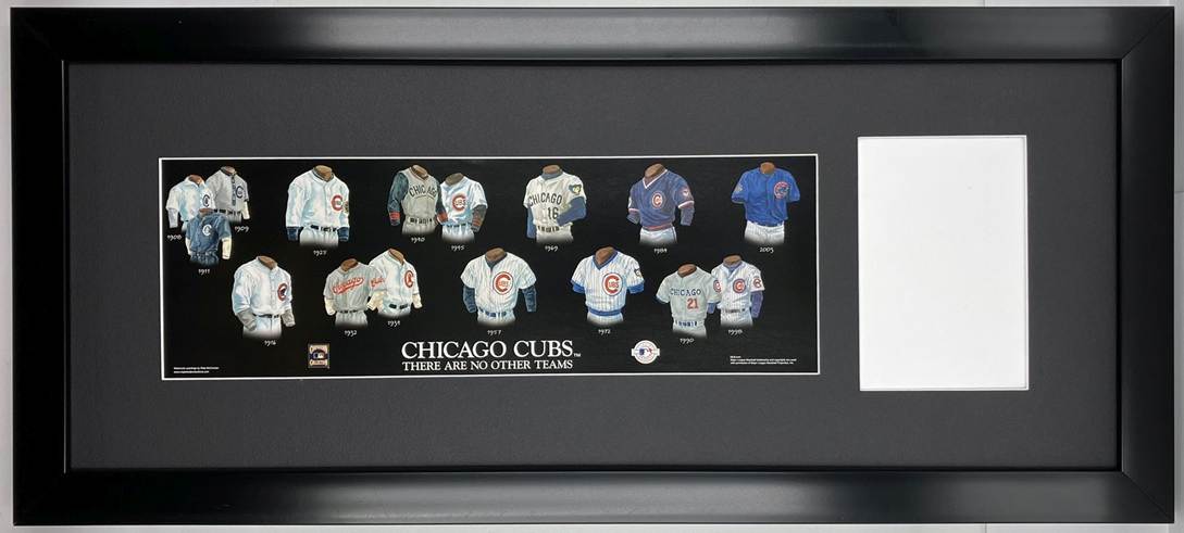 chicago cubs-1