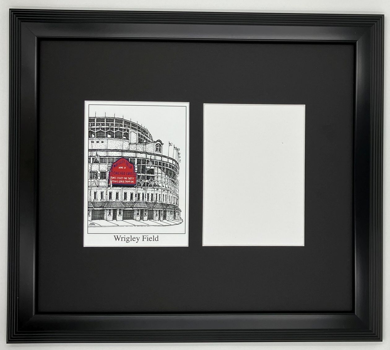 chicago cubs-2