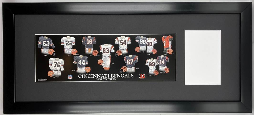 cincinnati bengals-1
