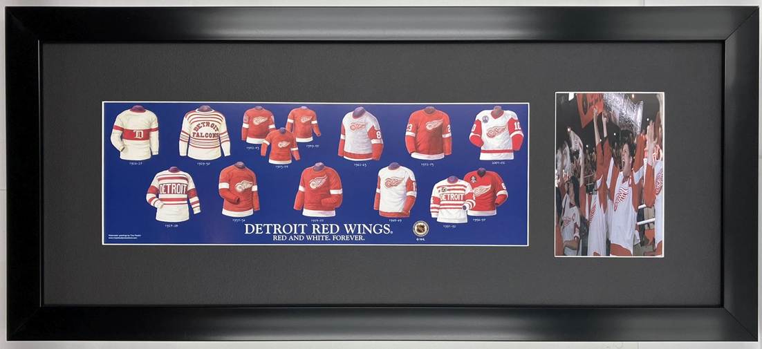 detroit redwings-2