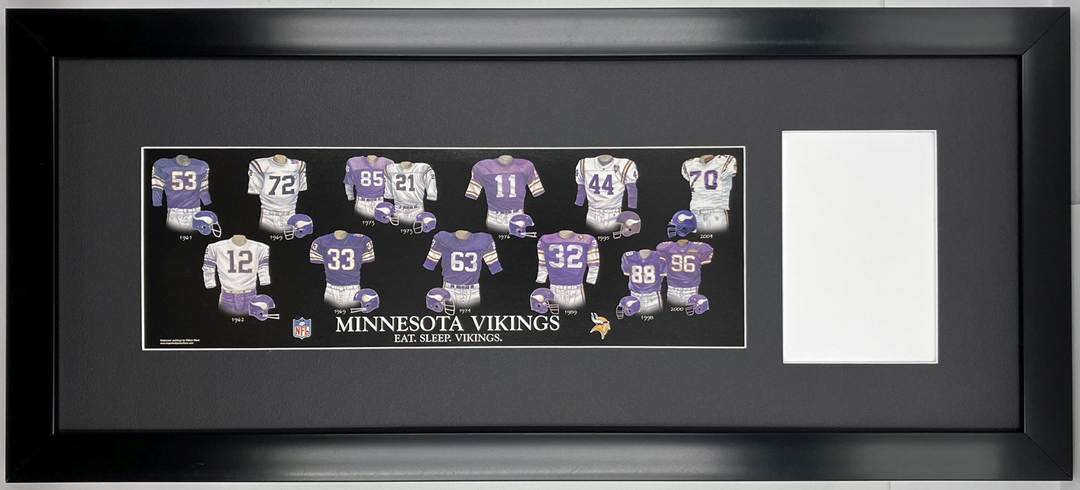 minnesota vikings-1