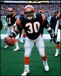 bengals 24