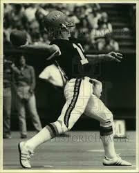 bengals 19