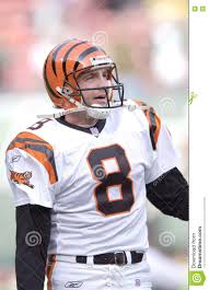 bengals 14