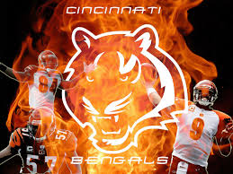 bengals 11