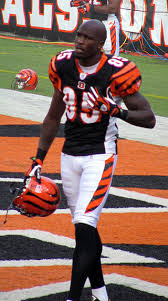 bengals 3