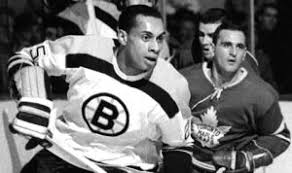 bruins 14