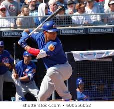 cubs 31