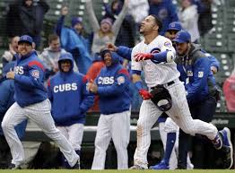 cubs 20