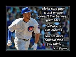 cubs 15