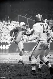 lions 30