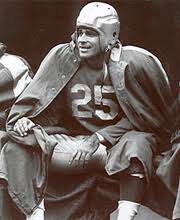lions 28