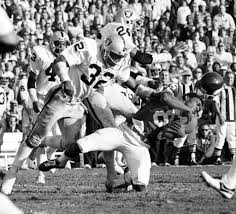 raiders 17