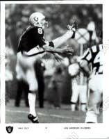 raiders 27