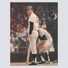 tigers 32