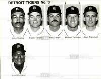 tigers 26