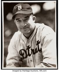 tigers 15