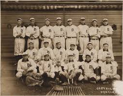 tigers 13