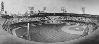 tigers 11