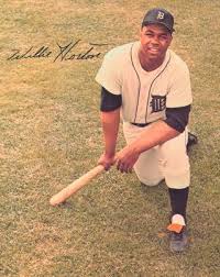 tigers 35