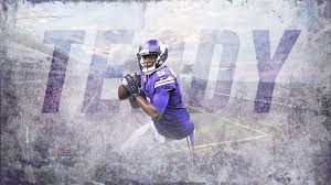 vikings 14
