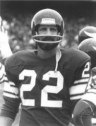 vikings 31